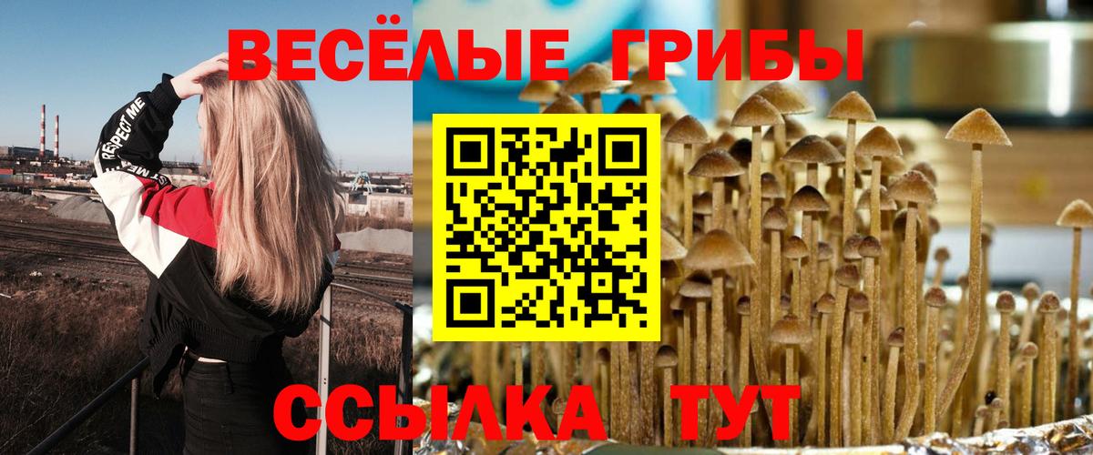 Губаха  Галлюциногенные грибы GOLDEN TEACHER  Вход с VPN 